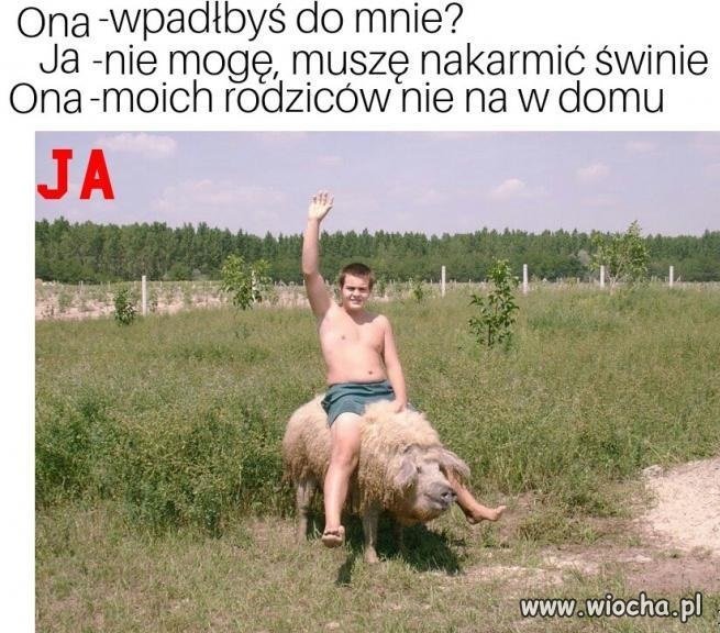 Pig Rider