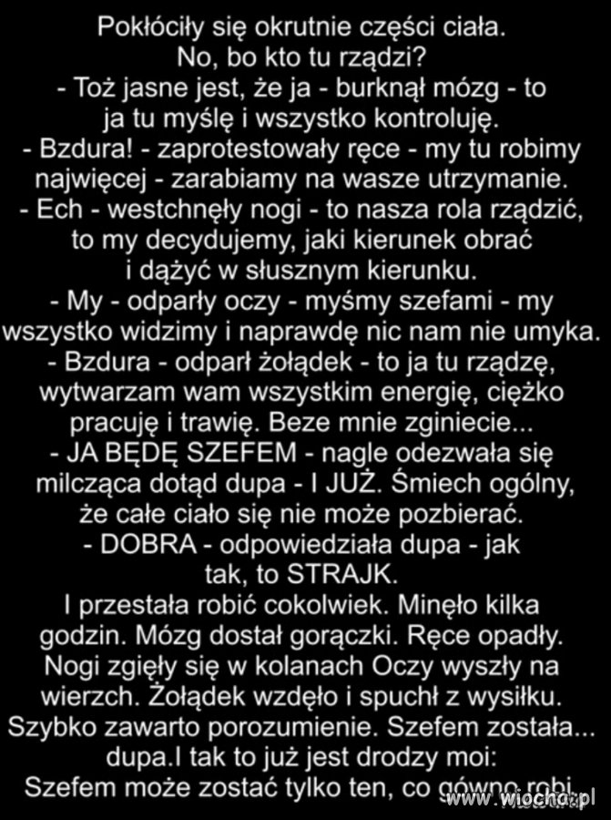 Cała prawda o przełożonych..