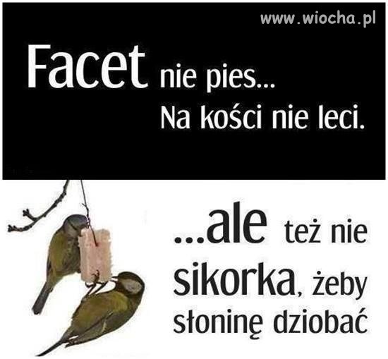 Taka tam...