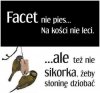 Taka tam...
