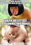 Byś się doedukowała, babsztylu jeden