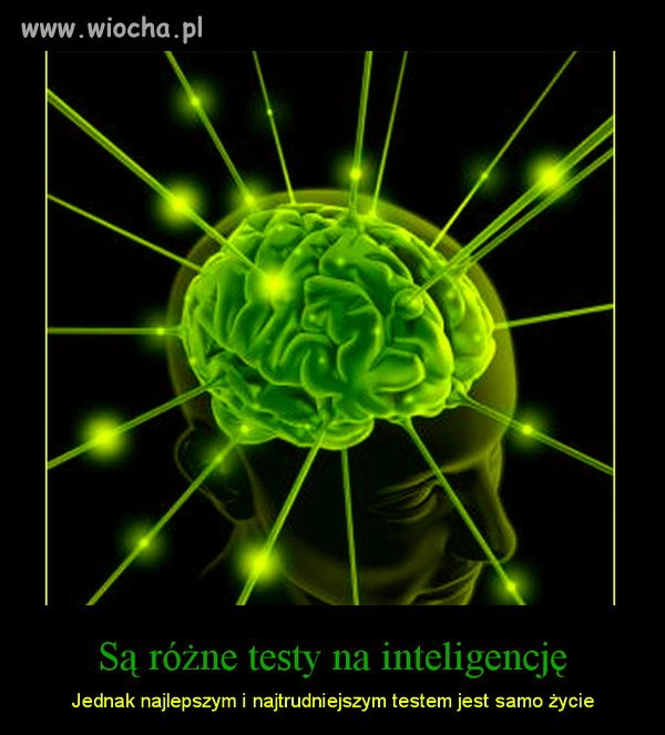 Trudno się nie zgodzić