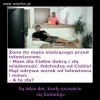 Kumulacja