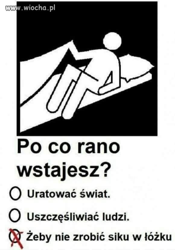 No właśnie ... po co?