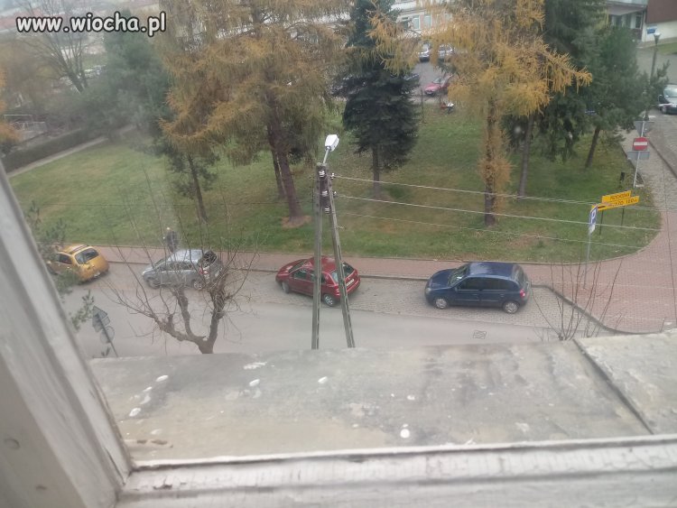 Tak się parkuje w Wadowicach
