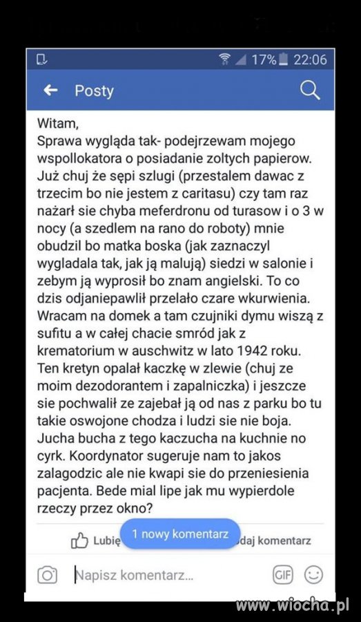 Tymczasem u Polaków w Holandii
