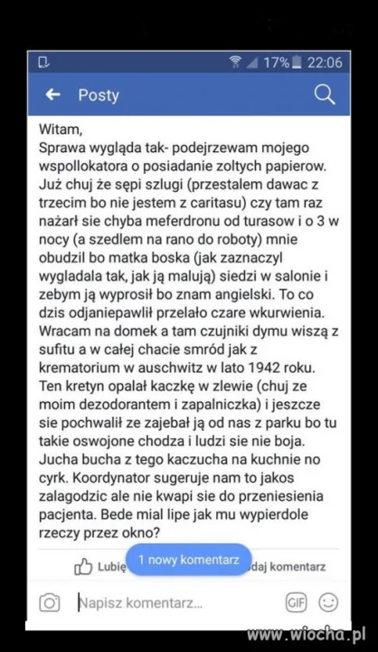 Tymczasem u Polaków w Holandii