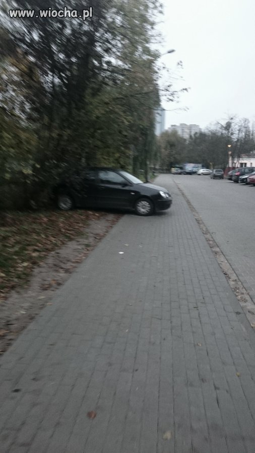Mistrz parkowania