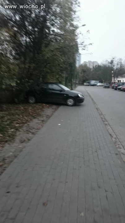 Mistrz parkowania
