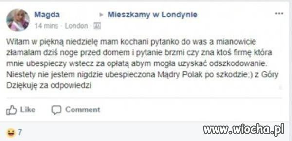 Złamana cebula