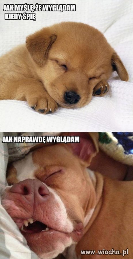 Ja kiedy śpię