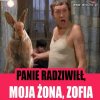 Jak króliki