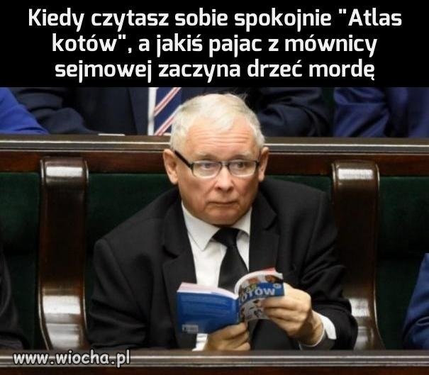 Co ten lewak tam znowu sapie?