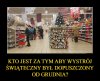 Świąteczna gorączka już trwa