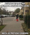 Za coś kasę biorą przecież