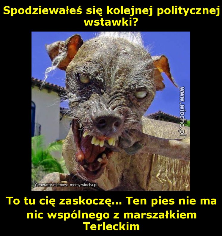 Spodziewałeś się kolejnej politycznej wstawki?