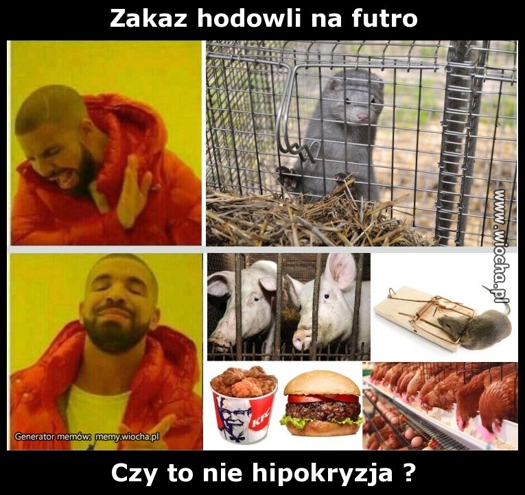 Zakaz hodowli na futro