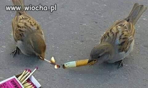 Tak było