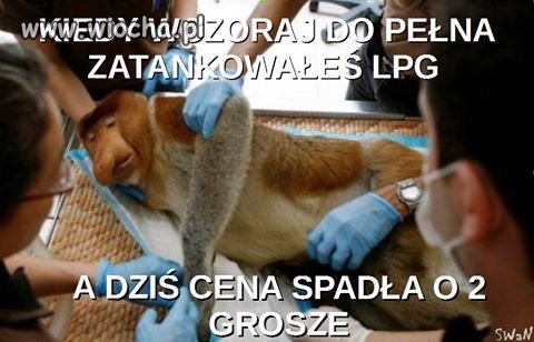 Zawał murowany