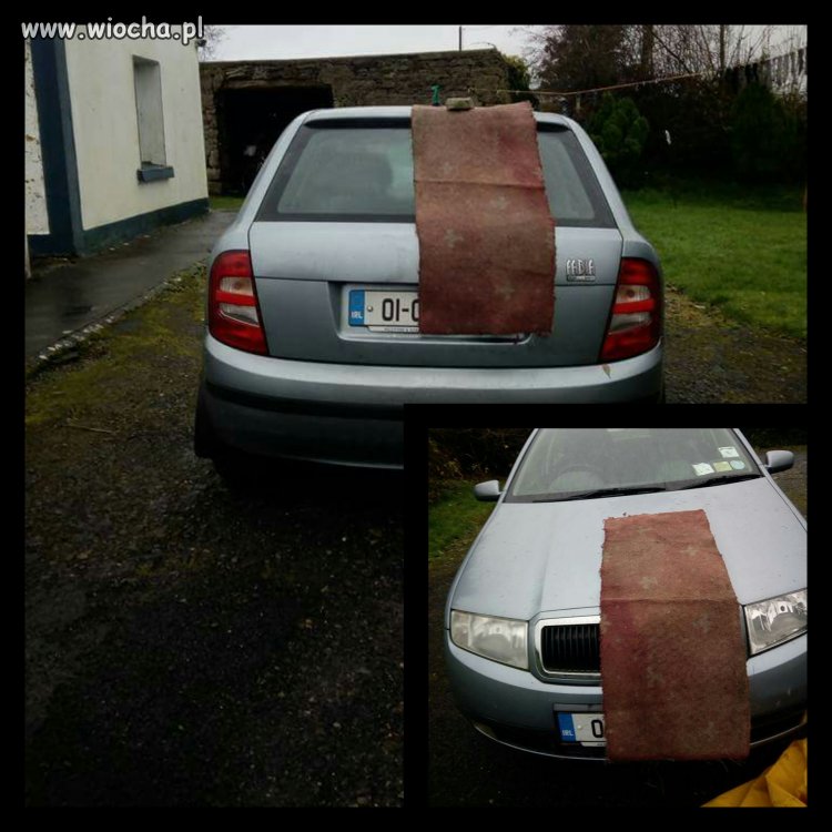 Painta nie znaju
