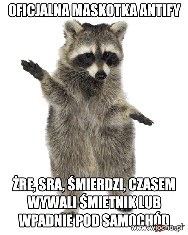 Heheszki