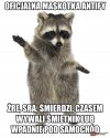 Heheszki