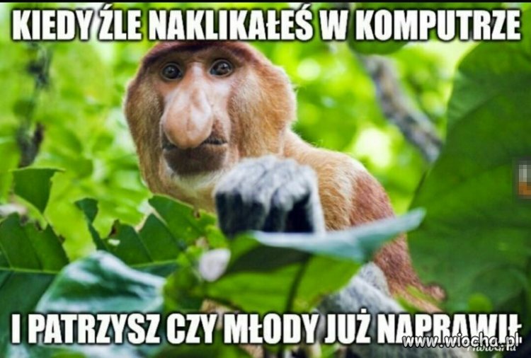 Coś w tym jest..
