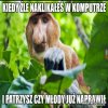 Coś w tym jest..