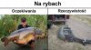 Na rybach