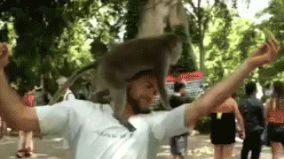 Ha ha ha...