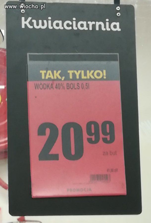 Taka kwiaciarnia tylko w Biedronce