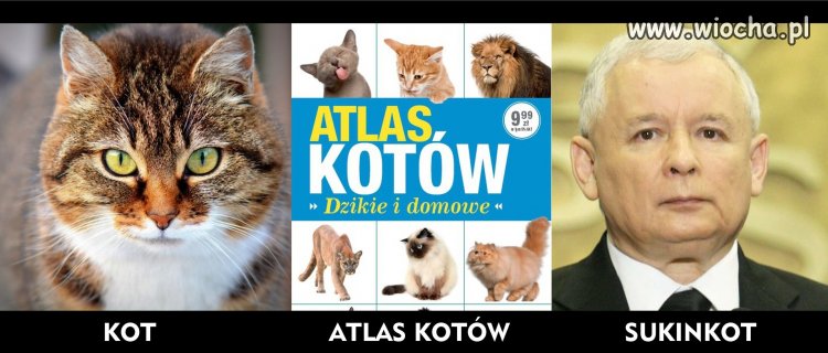 Internety są bezlitosne!!!