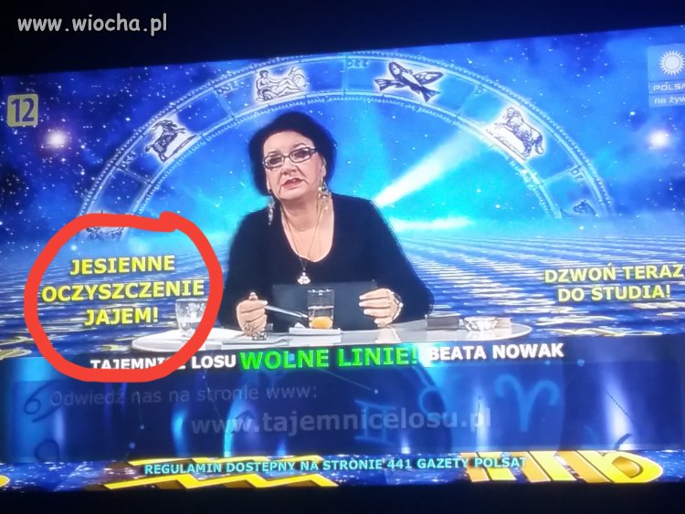 Niezłe jaja
