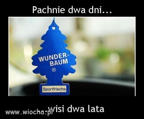 Trochę w tym prawdy