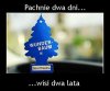Trochę w tym prawdy