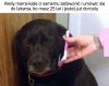 Mamo, ten ostatni raz...