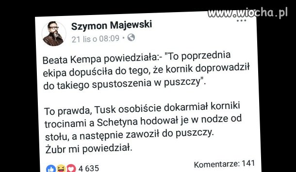 Sprawa kornika wyjaśniona