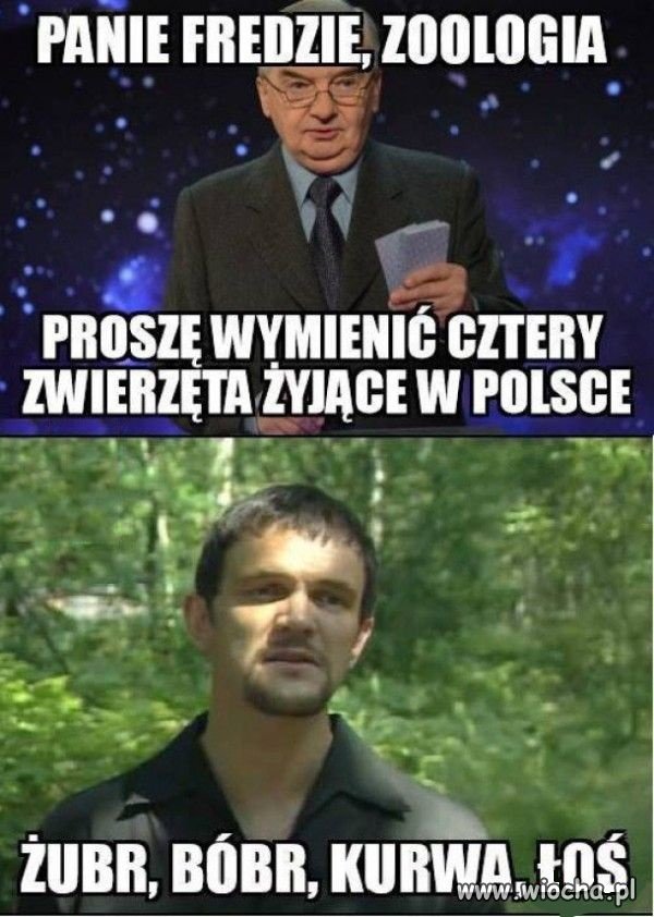 Pamiętacie Freda?