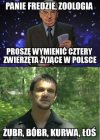 Pamiętacie Freda?