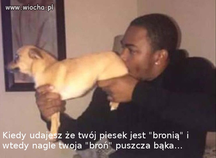 Psia broń