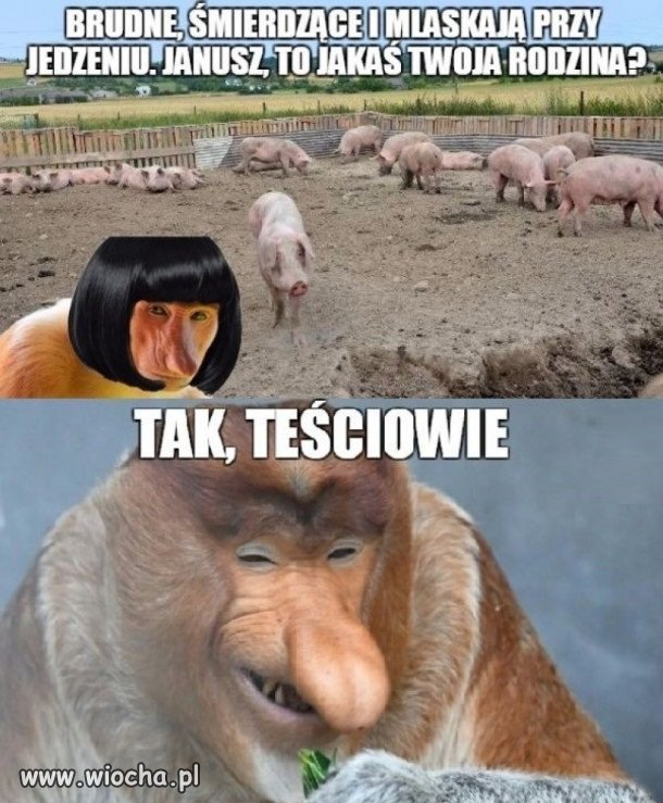 Janusz gasi Grażynę...