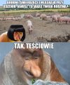 Janusz gasi Grażynę...