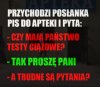 Odpowiedzi i tak nie będzie
