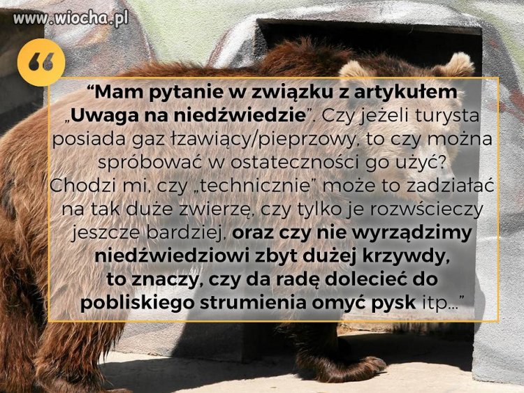 Troskliwy turysta