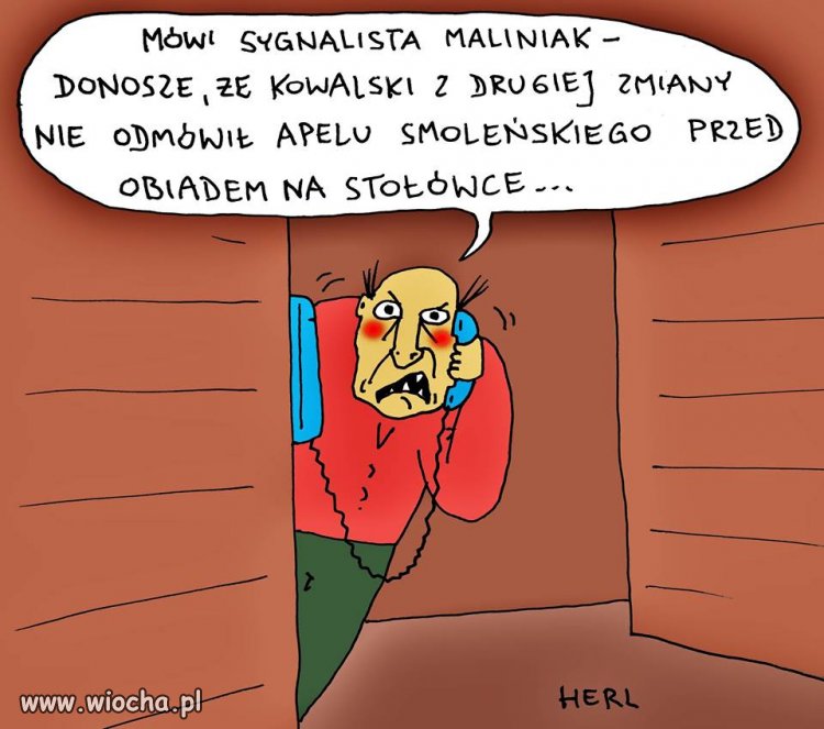 Sygnalista