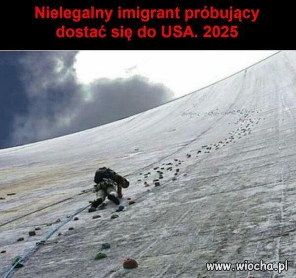 Imigrant