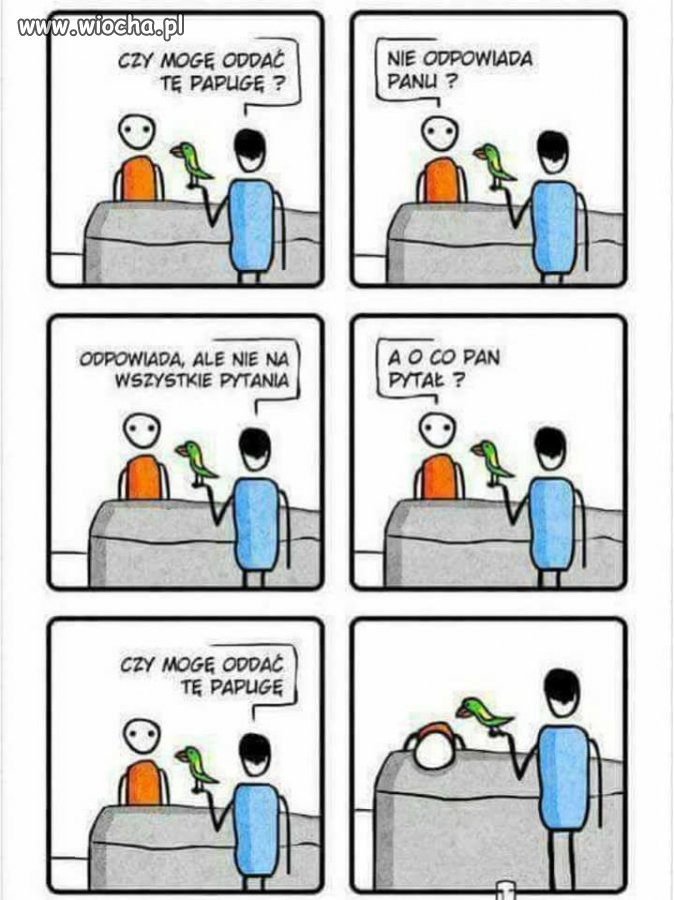 Papuga