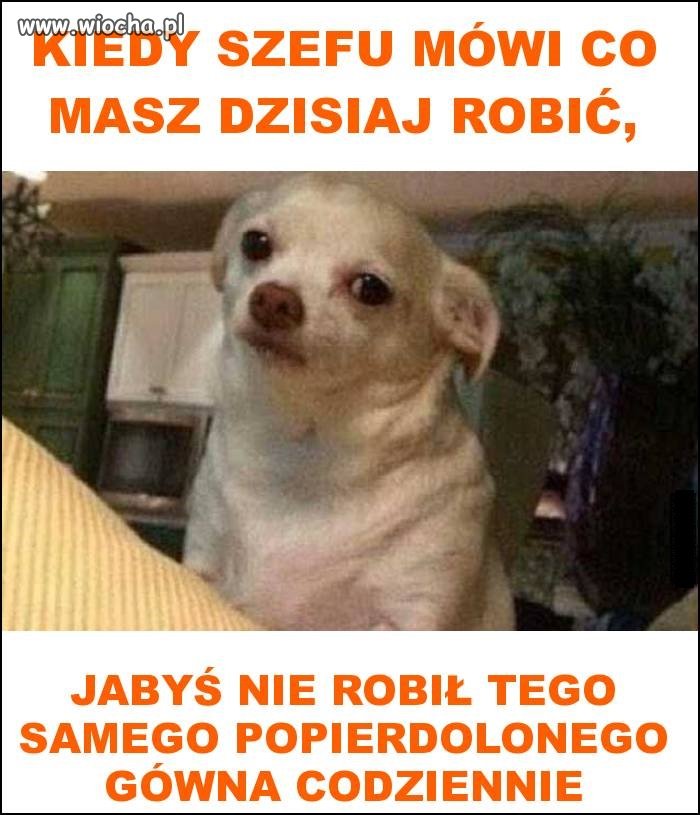 A jutro poniedziałek