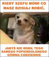 A jutro poniedziałek