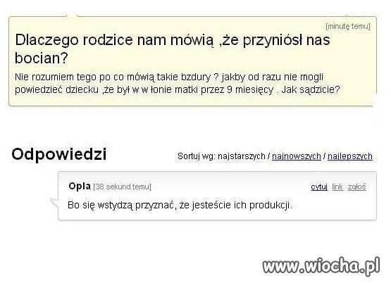 Wstyd